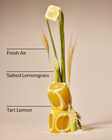 Laundry Room Lemon Single Wick Candle image number null