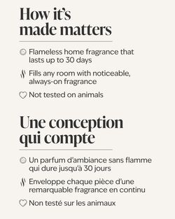 Strawberry Lover Wallflowers Fragrance Refill image number null