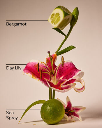 Turquoise Waters Foaming Hand Soap Gentle Foaming Hand Soap