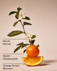 Backyard Honeysuckle Single Wick Candle image number null