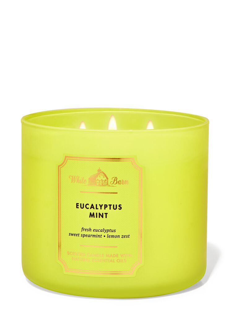 Eucalyptus Mint 3-Wick Candle 3-Wick Candle