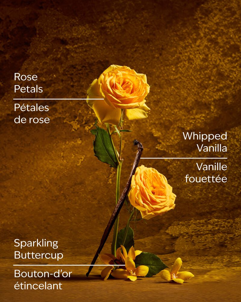 Belle 3-Wick Candle 3-Wick Candle