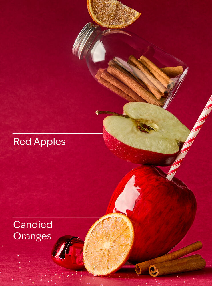 Winter Candy Apple Foaming Hand Soap Gentle Foaming Hand Soap
