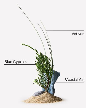 Ocean Tent Gift Gift Set