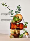 Eucalyptus Spearmint Body and Massage Oil image number null