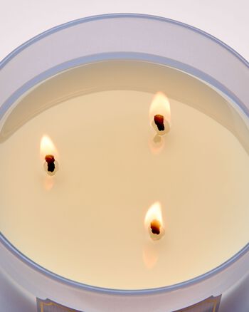 Violet & Musk 3-Wick Candle 3-Wick Candle