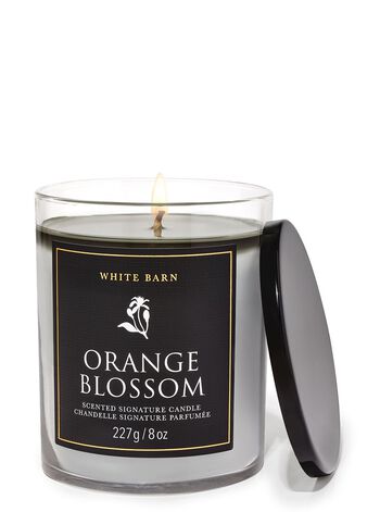 Orange Blossom Single Wick Candle Single Wick Candle