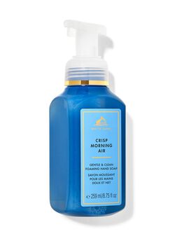 Crisp Morning Air Gentle & Clean Foaming Hand Soap image number null