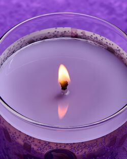 Rapunzel Single Wick Candle image number null