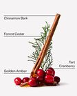 Cranberry Woods 3-Wick Candle image number null