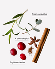 Cranberry & Eucalyptus Concentrated Room Spray image number null