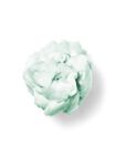 Vanilla Bean Noel Shapeable Soap image number null