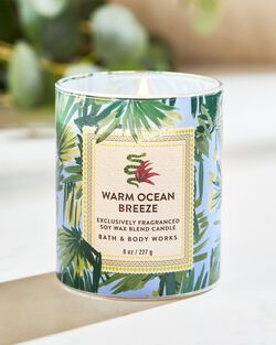 Warm Ocean Breeze Single Wick Candle image number null