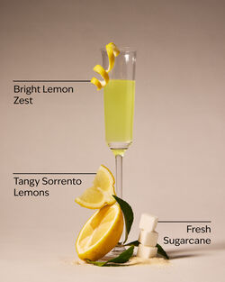 Limoncello Gentle & Clean Foaming Hand Soap image number null