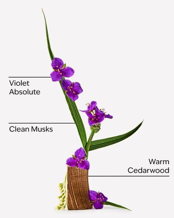 Very Violet Fine Fragrance Mist Fine Fragrance Mist