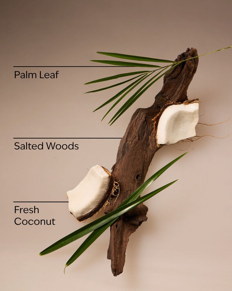 Coconut Nectar Travel Size Fine Fragrance Mist Travel Size Fine Fragrance Mist