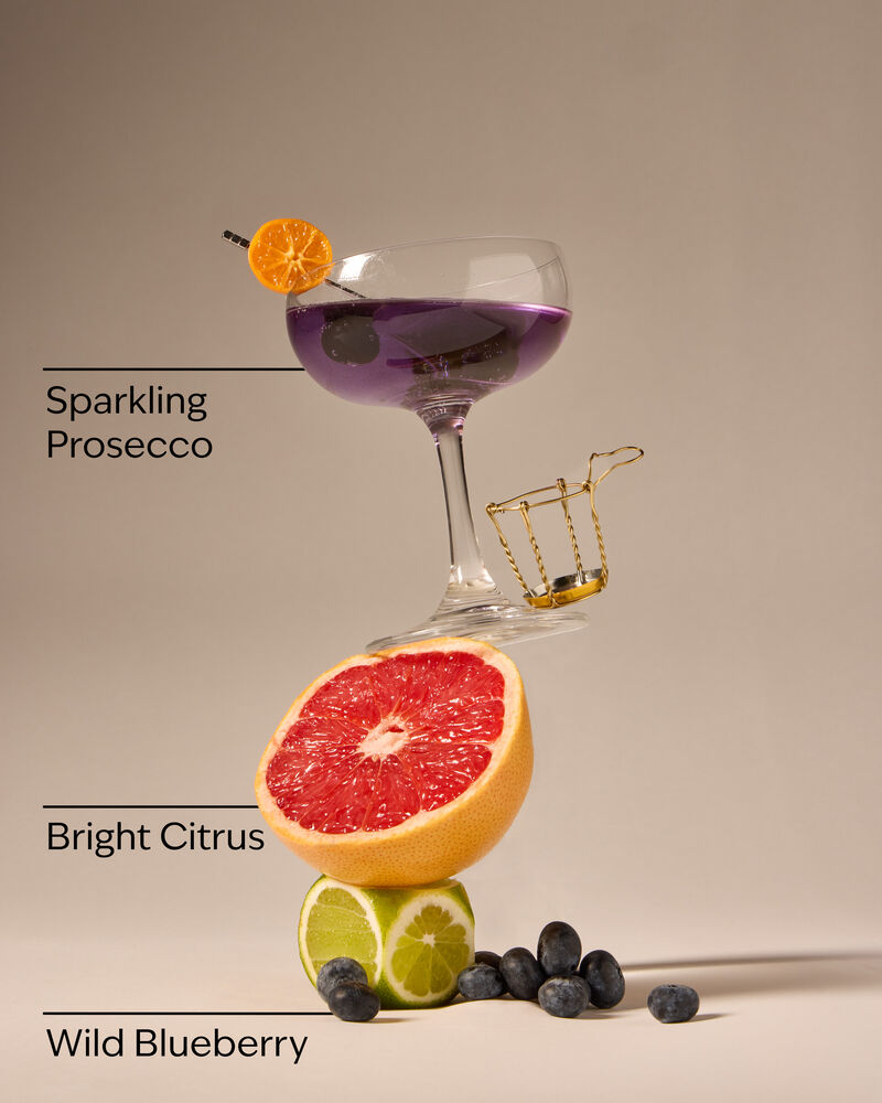 Blueberry Bellini Gentle & Clean Foaming Hand Soap Gentle & Clean Foaming Hand Soap