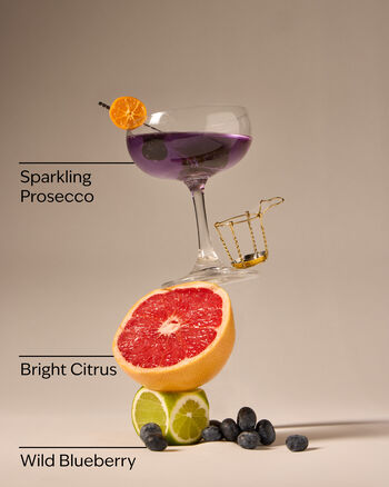 Blueberry Bellini Gentle & Clean Foaming Hand Soap Gentle & Clean Foaming Hand Soap