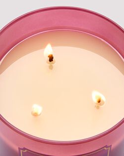 Pink Lilac & Vanilla 3-Wick Candle image number null
