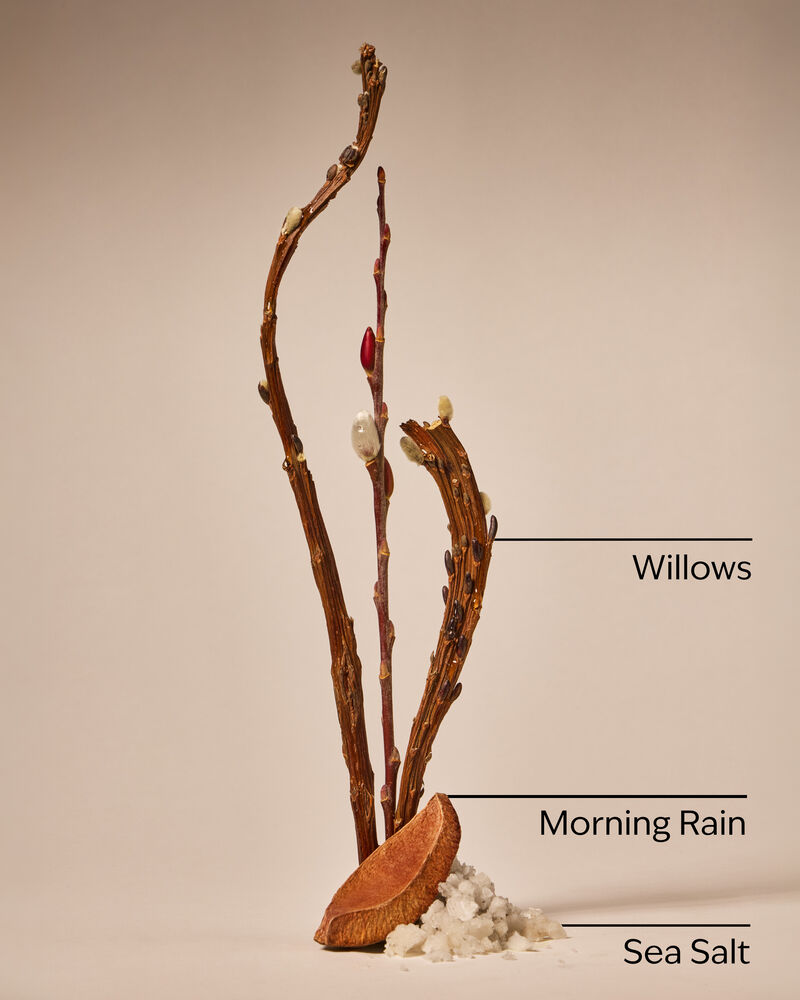 Rainfall Cleansing Gel Hand Soap Cleansing Gel Hand Soap