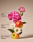Beautiful Day Wallflowers Refills 2-Pack image number null
