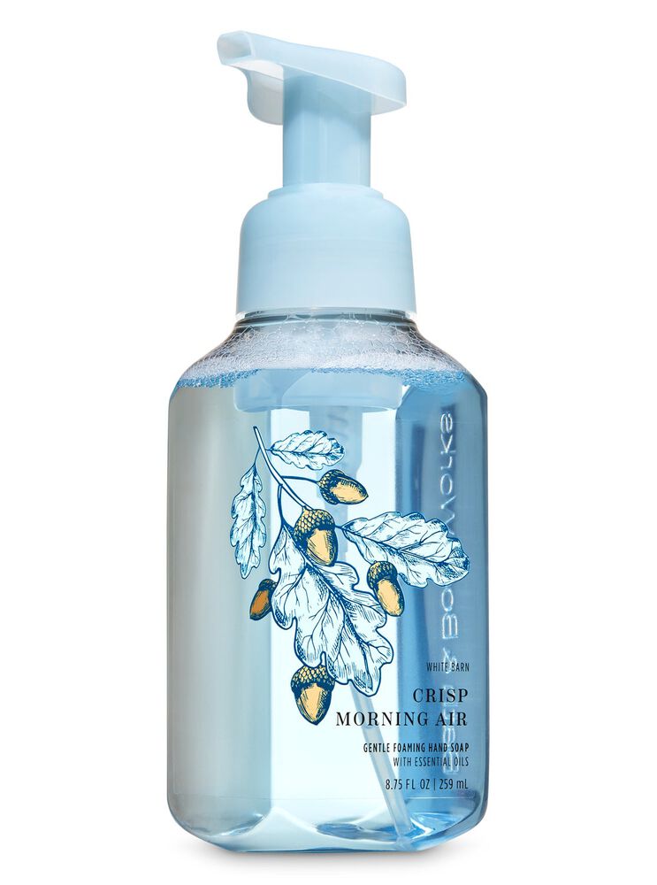 Crisp Morning Air Foaming Hand Soap Gentle Foaming Hand Soap