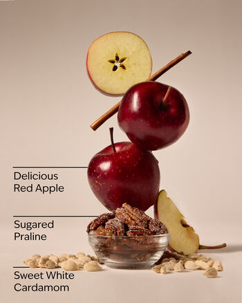 Apple Cinnamon Spice Concentrated Room Spray Concentrated Room Spray