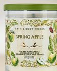 Spring Apple Single Wick Candle image number null