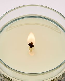 Spring Apple Single Wick Candle image number null