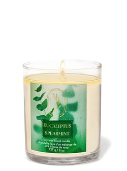 Eucalyptus Spearmint Single Wick Candle