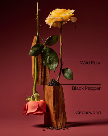 Nocturnal Rose Concentrated Room Spray Concentrated Room Spray