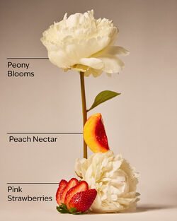 Gingham Gorgeous Foaming Sugar Scrub image number null