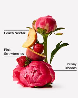 Gingham Gorgeous Eau De Parfum image number null