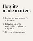 Frosted Cranberry Car Fragrance Refill image number null
