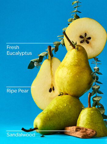 Falling Flurries Wallflowers Fragrance Refill Wallflowers Fragrance Refill