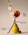 Spring Apple 3-Wick Candle image number null