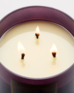 Fresh Cut Lilacs 3-Wick Candle image number null