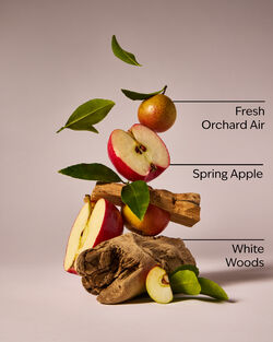 Blue Orchard Skies 3-Wick Candle image number null