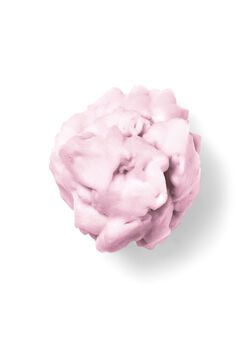 Winter Candy Apple Shapeable Soap