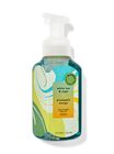 Pineapple Mango & White Tea & Sage Gentle Foaming Hand Soap image number null