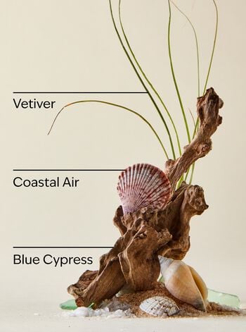 Ocean Antiperspirant Deodorant Antiperspirant Deodorant