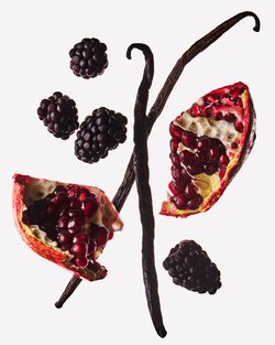 Pomegranate & Blackberry Gentle & Clean Foaming Hand Soap image number null
