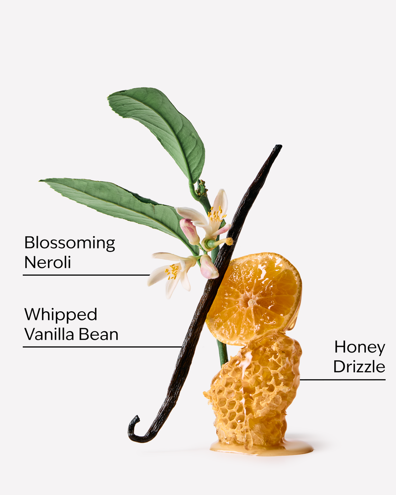 Whipped Honey & Vanilla Daily Moisturizing Hand Soap Daily Moisturizing Hand Soap