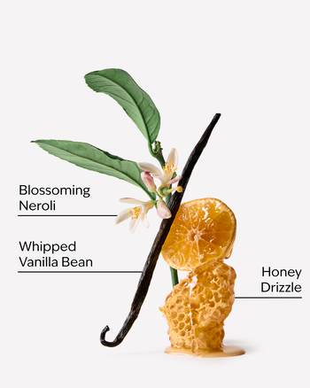 Whipped Honey & Vanilla Daily Moisturizing Hand Soap Daily Moisturizing Hand Soap