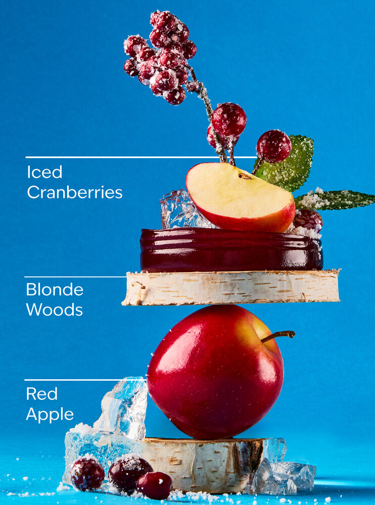 Frosted Cranberry Gentle & Clean Foaming Hand Soap Gentle & Clean Foaming Hand Soap