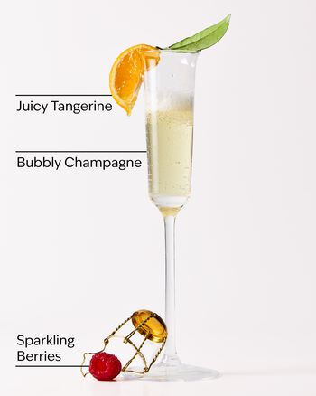Champagne Toast Gentle & Clean Foaming Hand Soap Gentle & Clean Foaming Hand Soap