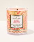 Peach Blossom & Nectar Single Wick Candle image number null