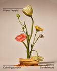 Warm Summer Evening Single Wick Candle image number null