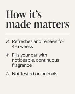 Frozen Lake Car Fragrance Refill image number null
