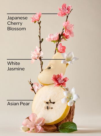 Japanese Cherry Blossom PocketBac Hand Sanitizer PocketBac Hand Sanitizer